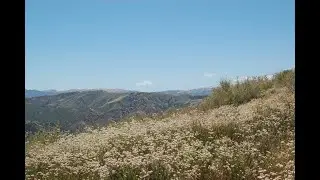 6000+ acres of LA County ranch land purchased for preservation