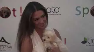 Katie Cleary arriving to 3rd Annual Saving SPOT! Dog Rescue Benefit in Santa Monica