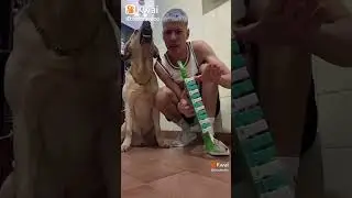 escobedito