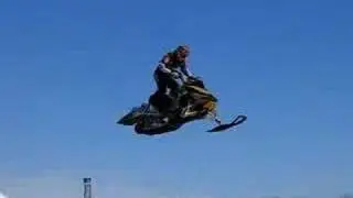 Willie on Dootalk Sled
