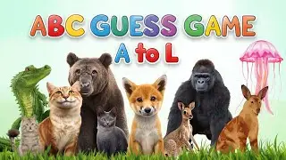 ABC Guess Game for Kids | A to L Animal Quiz | Fun Learning for Toddlers | without music 