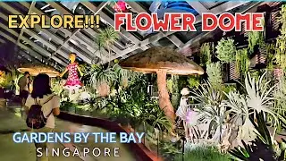 FLOWER DOME - GARDENS BY THE BAY, SINGAPORE || Big Brothet Journey #travel #nature #garden #enjoy