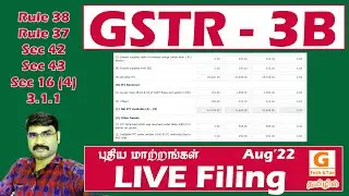 🔴 GSTR 3B Filing Live Session | Aug 3B Return | Full Demo | First Live Video