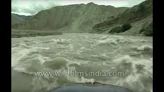 Rafting in Zanskar River, Ladakh