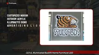 Dia mm Illuminated Plastic Buzzer: Leading Manufacturer and Supplier from China