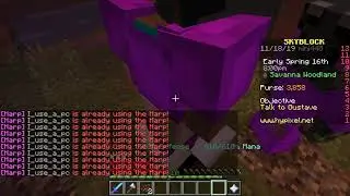 Melody's hair speedrun 7:30 Hypixel Skyblock