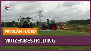 REPO: Proef in Vegelinsoord om veldmuizen te bestrijden