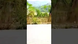 Pakistani greenery #village #shorts #youtubeshorts #shortvideo