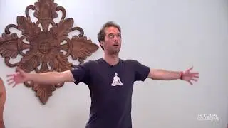 Gentle Yoga 20 Min Level 1 Travis Eliot