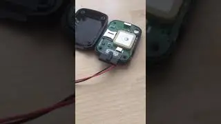 WhatsApp Video 2019 06 13 at 14 45 10