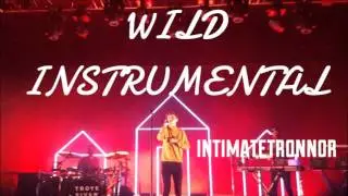 WILD - Troye Sivan (Official Instrumental)