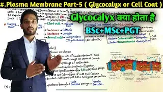 What is Cell Coat or Glycocalyx || Plasma Membrane Part-5 || BSc first Year || MSc || PGT || NEET