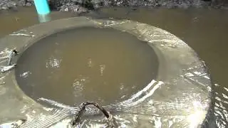 070313 Trotters Ridge- Pine Forest Sewer Overflow 1
