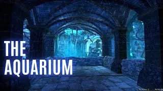 The Aquarium Guided Tour (ESO PC EU)