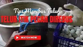 Tips Merebus Telur Masin Supaya X Pecah | Azwanfarm