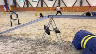 Wednesday Deabei - Agility pro Ukrajinu VI. - A2