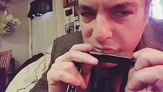 The Lee Oskar Melody Maker Harmonica By Tombo
