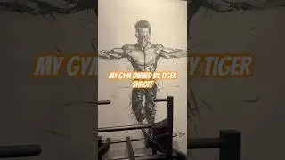 MMA matrix #gym #tigershroff #2026 #shorts