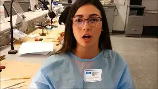 UCLA Pre-Dental Courses  for 2019 Calendar Year