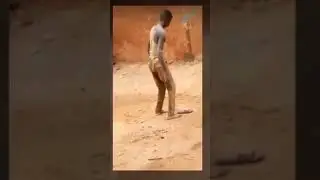 Shashaye bashida gori