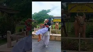 tharu cultural dress chitwan #viralvideo #nepaliviralvideo #keeploving