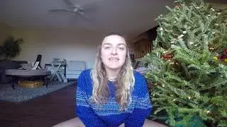 Holiday Video #1  Zero Waste Decorations!!