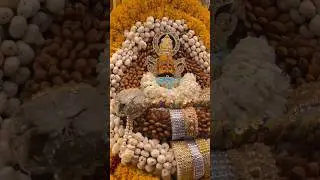 Apno ne kiya Baba #love #song #shyam #barasana #@Komal-g56