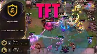 Fated + Dryad Team in TFT!