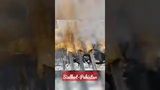 BBQ at Night 3am Sialkot Pakistan 2023 #shorts #youtubeshorts #food