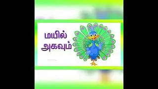 basic tamil📚 knowledge channel Learn Birds🐓🦆🐧🦃Sound🎶 and name in Tamil for kids🧑and Children🧒