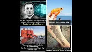 Top 22 Facts you should know before everything