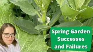 Lessons learned from Spring Garden | Failures and Successes
