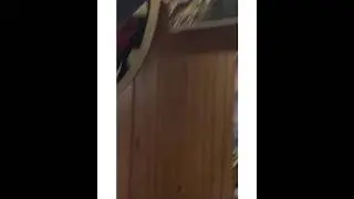 Tour of Hyrule HQs full video (edited and produced by Sammy Sam)