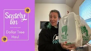 Sensory Bin | Dollar Tree Haul