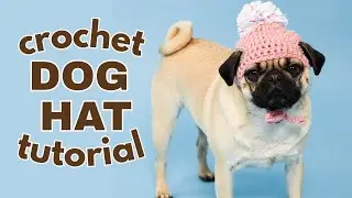 How to Crochet a Dog Hat 🐶 | Small Dog Crochet Hat Tutorial