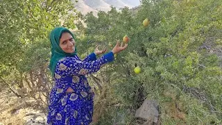 Fearless Nomadic Mother Climbs Cliffs to Harvest Wild Mountain Fruits