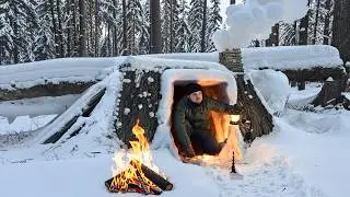 Building a Hidden Winter Shelter Between Fallen Trees | Bushcraft Survival Alone