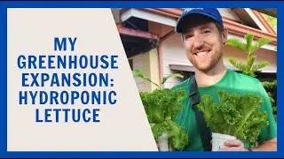 Hydroponics System 2 0 - Expanding my Lettuce Farm in the Philippines!