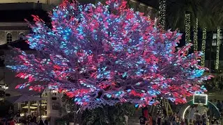 Holidays at City Place Tree West Palm Beach 