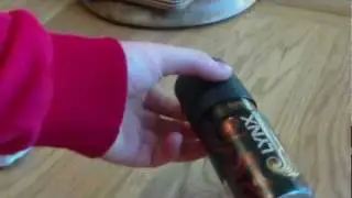 lynx / axe stash can