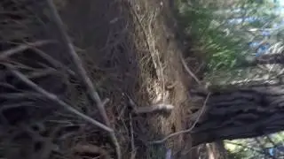 Woodhill Sandpit accident