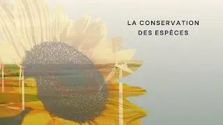 EPDR – Le tour de France des énergies | EP 2: La conservation des espèces