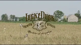 Clip On Dove Decoys | Lucky Duck Decoys