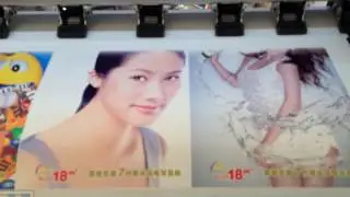 Dika large format printer(1.6m) -best design and most stable -Ecosolvent