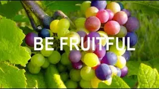 TWENTY-ONE DAYS OF PRAYER & FASTING - SUPERNATURAL FRUITFULNESS - DAY 15 / 1/16/2026