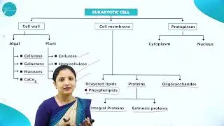 DAY 66 | BIOLOGY | I PUC | CELL THE UNIT OF LIFE | REVISION | L1