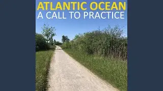 A Vast Ocean