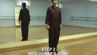 Tai Chi Chuan 24 Steps Beginners Lesson 1