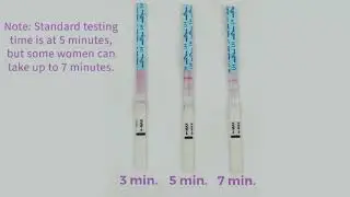 When & how to take an ovulation test - it's easy!