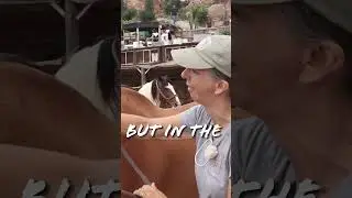 Using The Masterson's Method: Equine Massage To Release Deep Pain In Horses